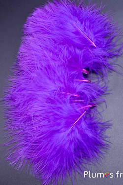 Dinde marabout - 8-12 cm - violet